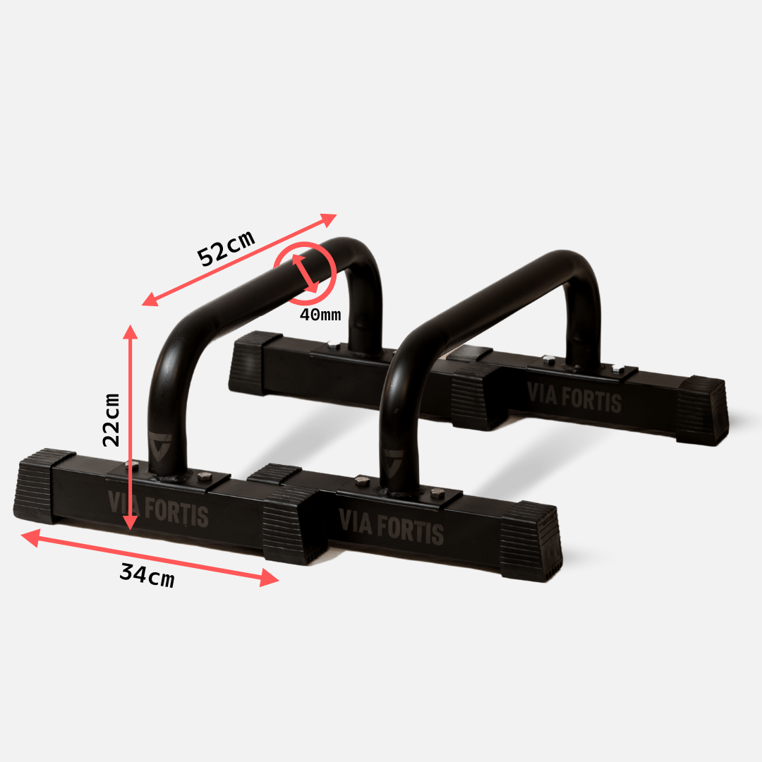Premium Parallettes rods VIA FORTIS DE
